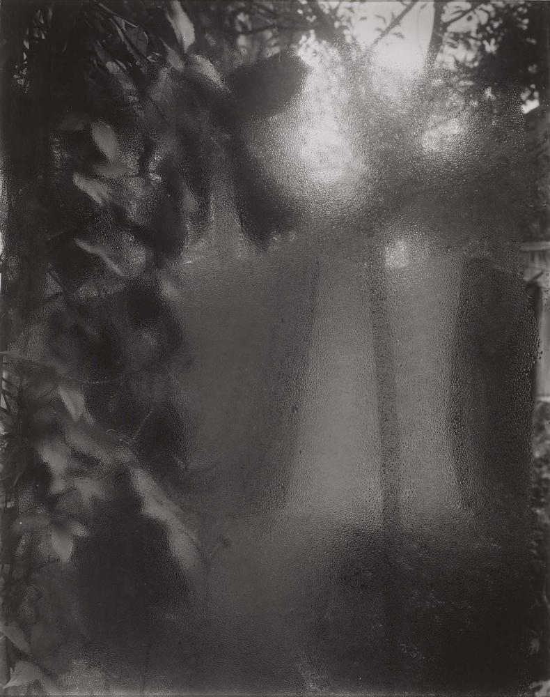 Une des photographies de Josef Sudek jouant avec les effets de bué sur une fenêtre.