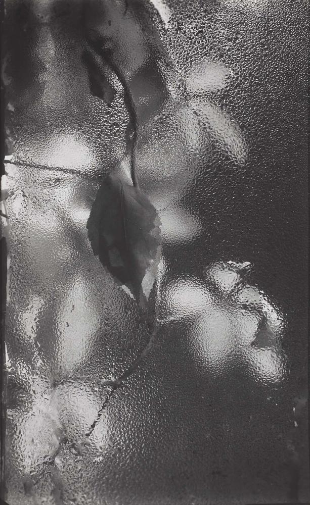 Photographie de Josef Sudek jouant avec la rosée et l'eau sur une fenêtre.