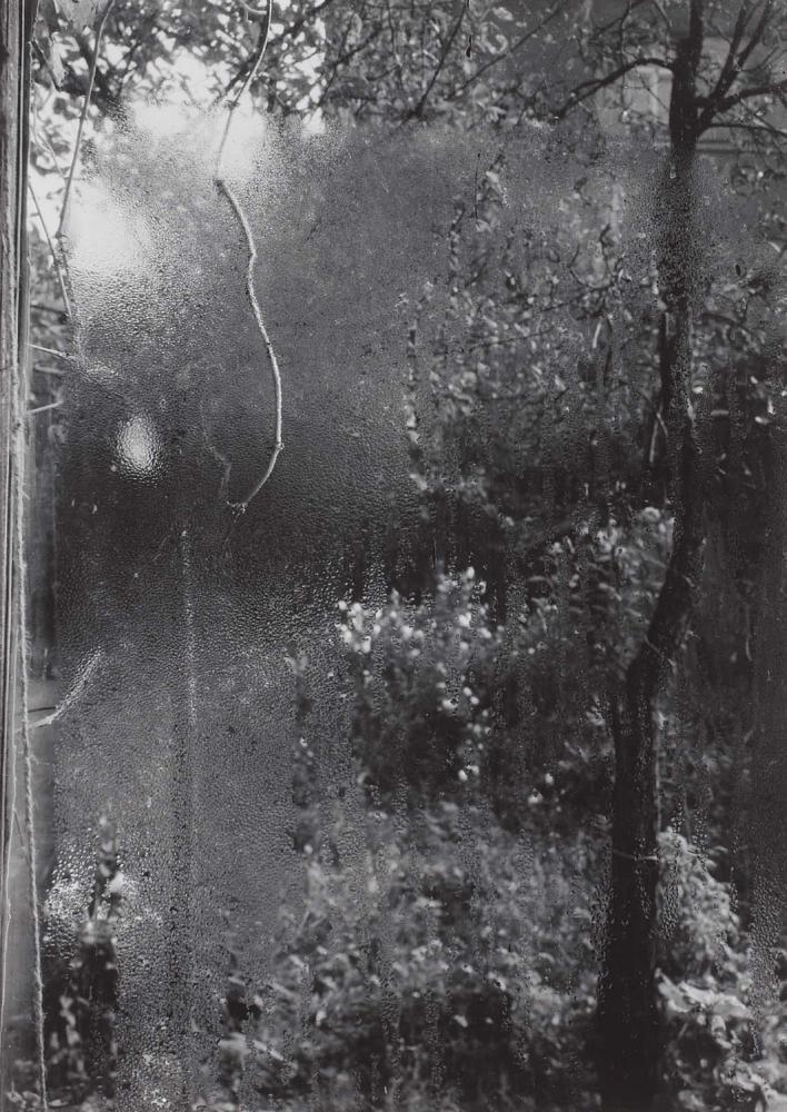 L'Été photographier depuis l'atelier de l'artiste tchèque Josef Sudek