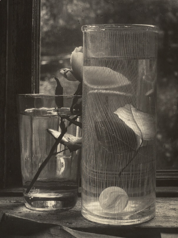 Nature morte de Sudek avec fleurs, verres et une bille à l'intérieur d'un des deux.