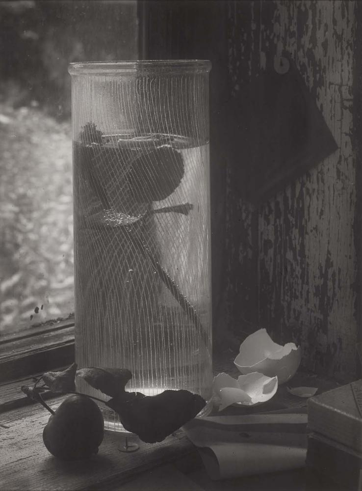 Nature morte par Josef Sudek en 1954.