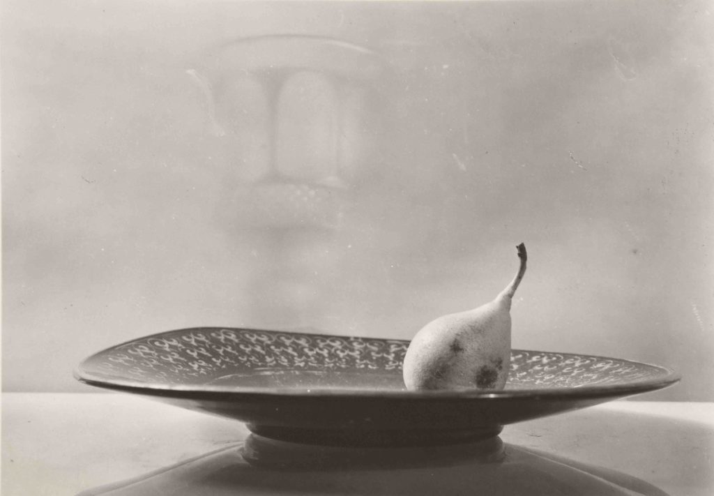 Nature morte photoraphiée par Josef Sudek en 1954.