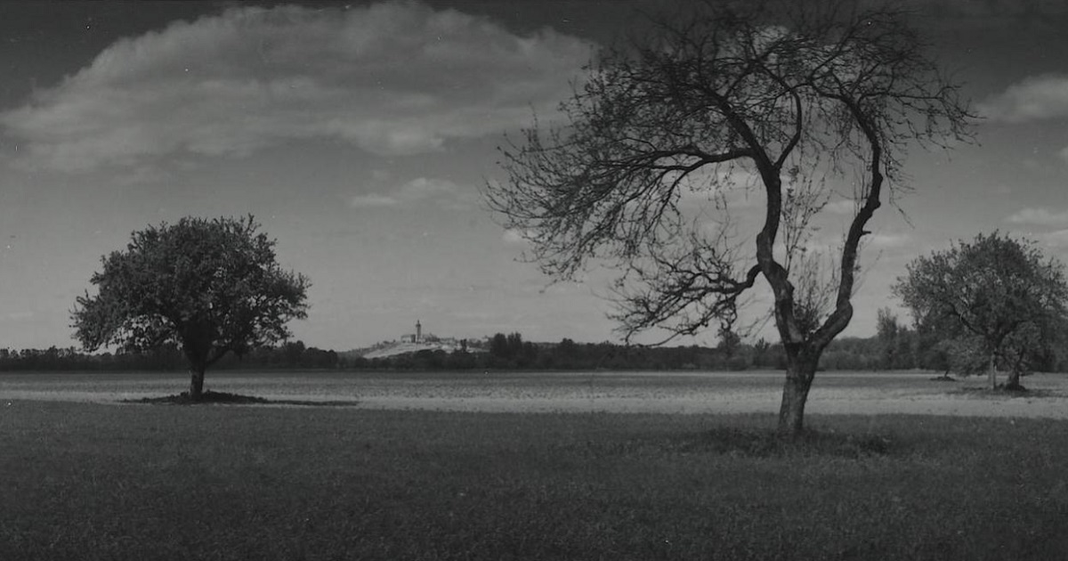 Photographie de paysage prise par l'artiste tchèque Josef Sudek.