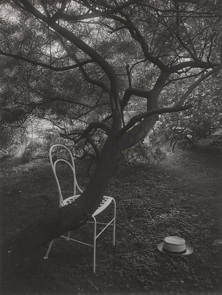 Série du photographe tchèque Josef Sudek montrant un mystérieux jardin