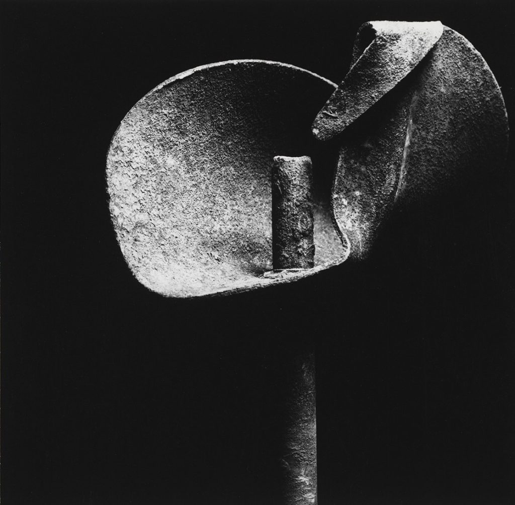 Ladislav Postupa, Květ (Floraison), 1979.